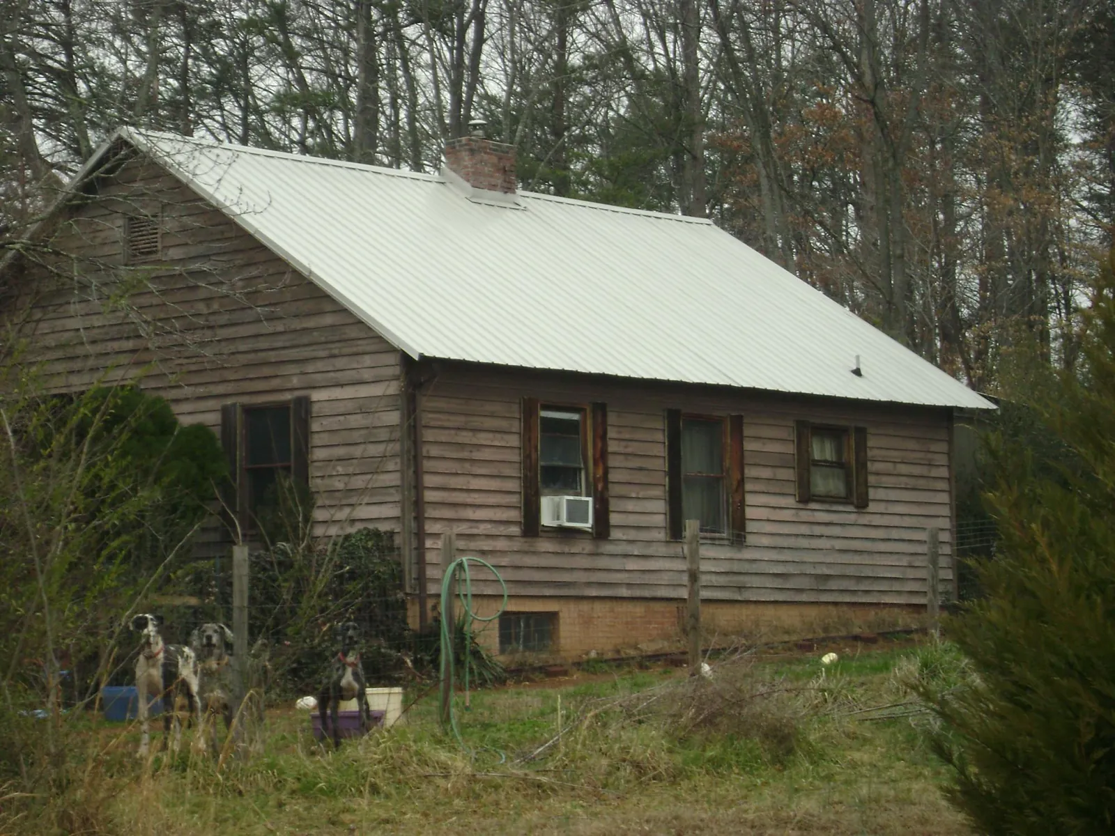 White metal roof on an old wood sided farmhouse, from a Asphalt Shingle Roof Repair job in Lamy